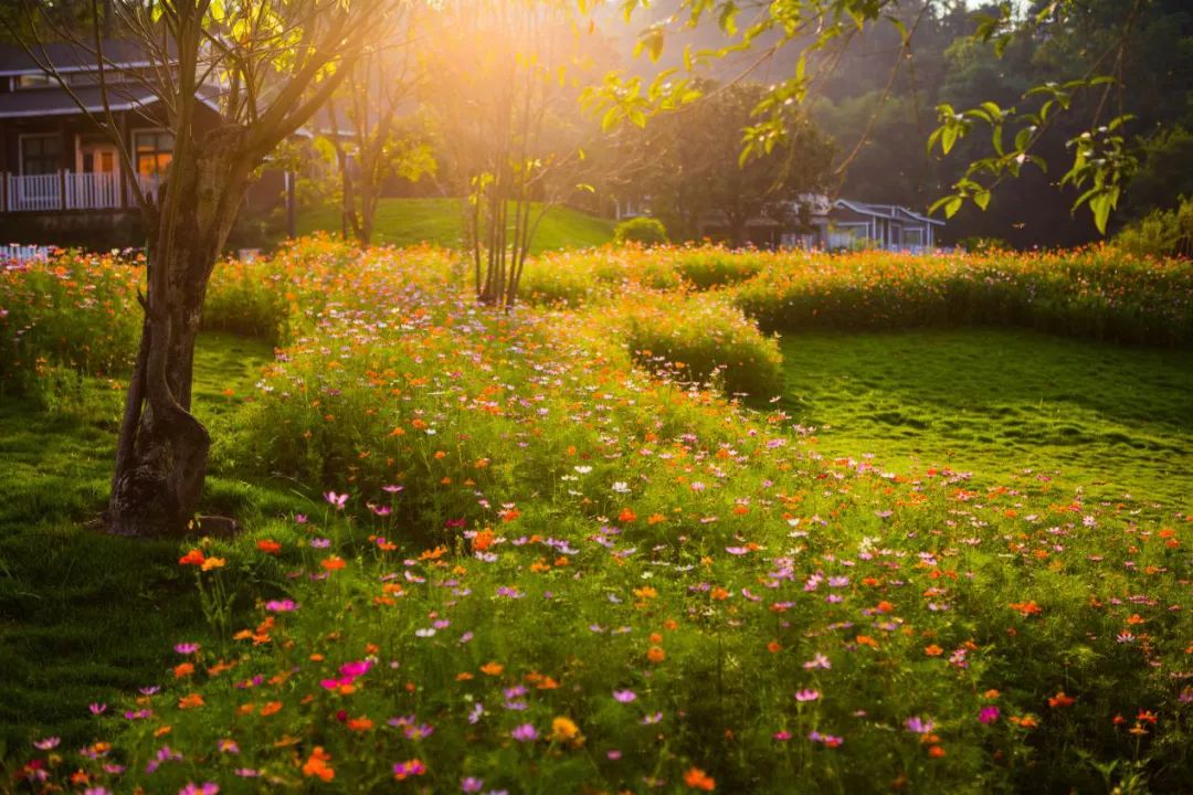 露营看日出地点推荐附近,桂平西山泉露营攻略