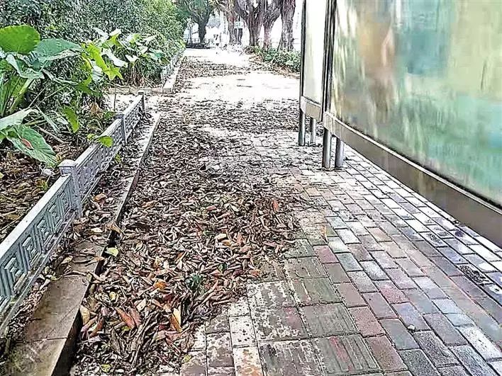 不文明行为随手拍持续曝光脏乱差,不文明行为曝光台机动车乱停乱放