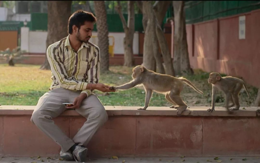 三部华裔导演作品提名奥斯卡,四部中国青年导演作品将亮相戛纳