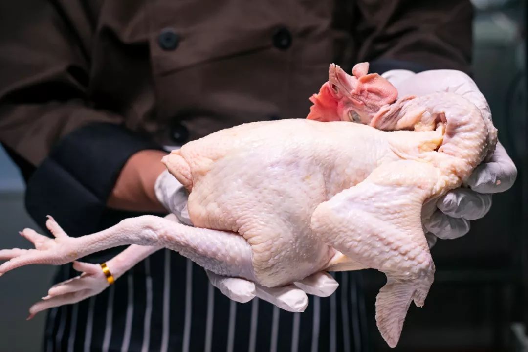 汕头凌晨椰子鸡,汕头苏宁广场椰子鸡