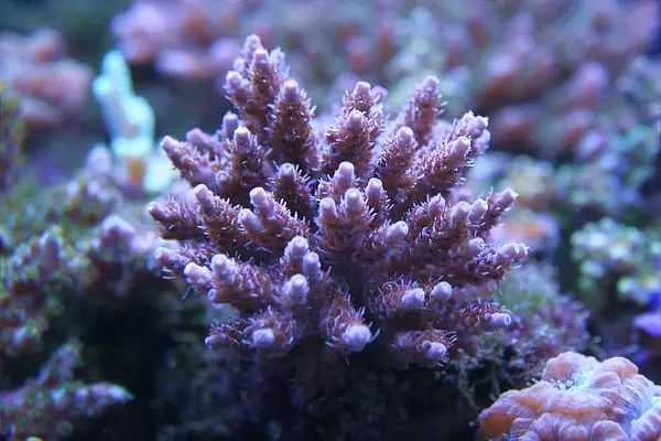 这是人家十年前的缸？我这些年瞎玩了……