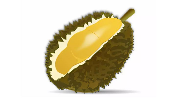 有一种美味叫榴莲忘返,各个城市只有当地人才知道的美食