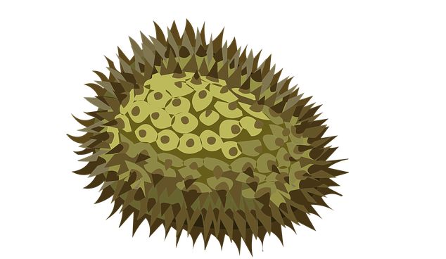 有一种美味叫榴莲忘返,各个城市只有当地人才知道的美食