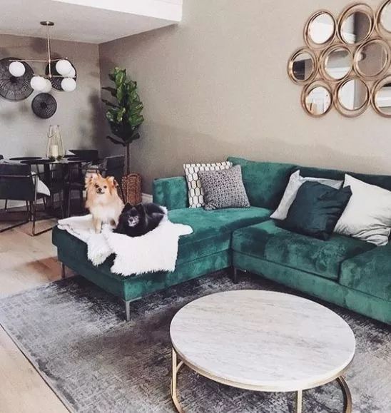 布艺沙发脏了怎么清洗没有吸尘器,皮革沙发时间长了脏了怎么清理