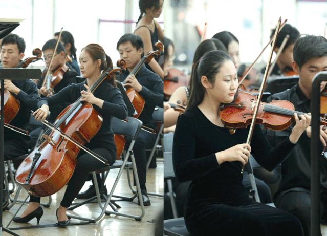 颐堤港哈利波特主题展,颐堤港节目表演