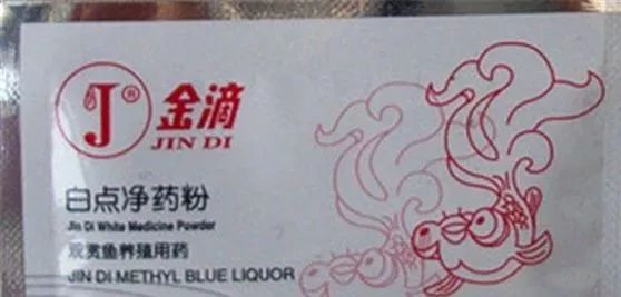 罗非得了白点病,鱼白点病的治疗方法