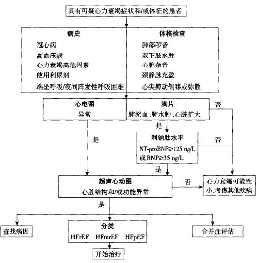 遵义医科大学附属医院心内科石蓓,遵义医学院心血管内科专家石蓓