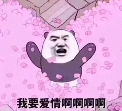 中二女律师爱上小狼狗，年下恋CP*党**高甜出击