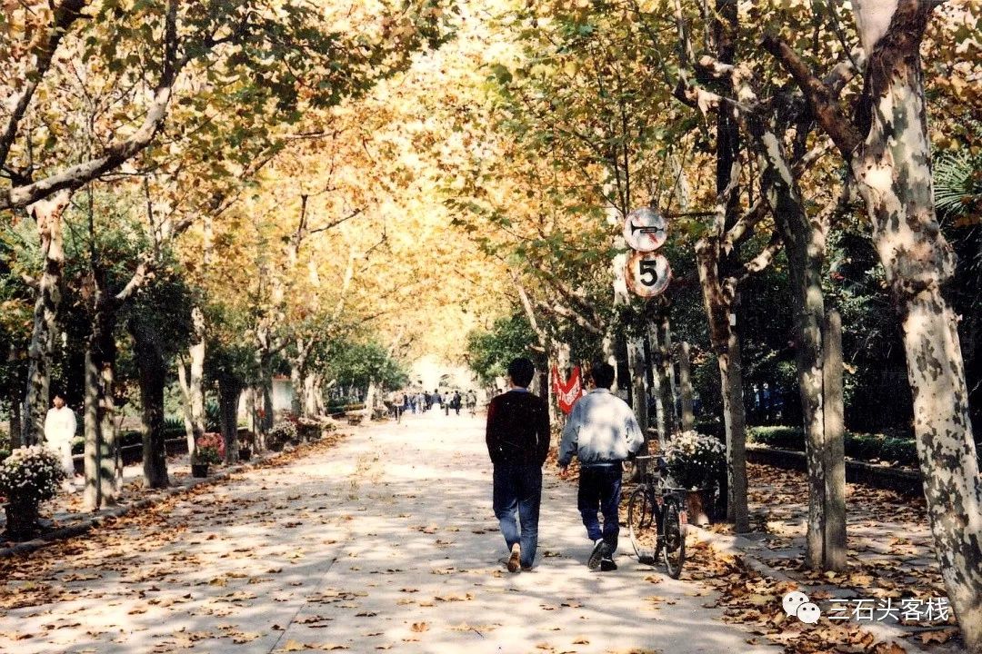 华政的简介,华政的故事