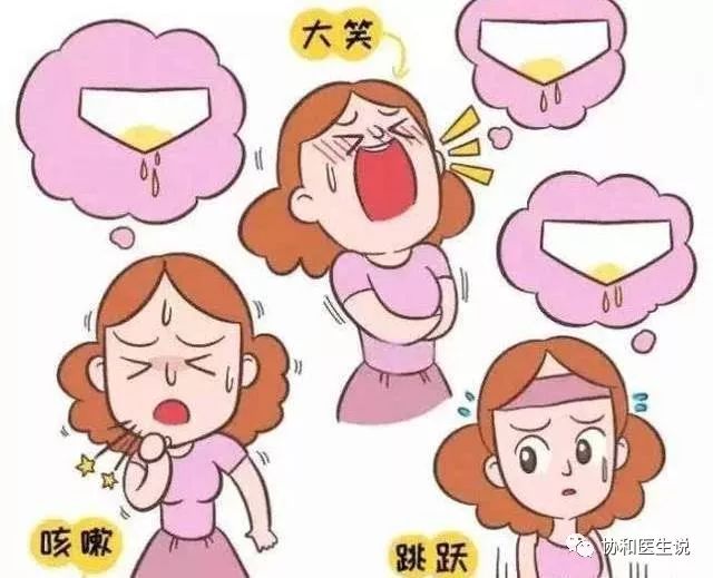 关于盆底康复你想知道的都在这里,老年女性盆底有病什么症状