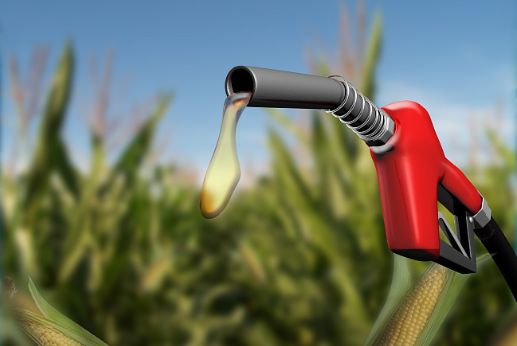 湘电风能董事长谭文理：坚守品质底线，跑赢风电制造“马拉松”