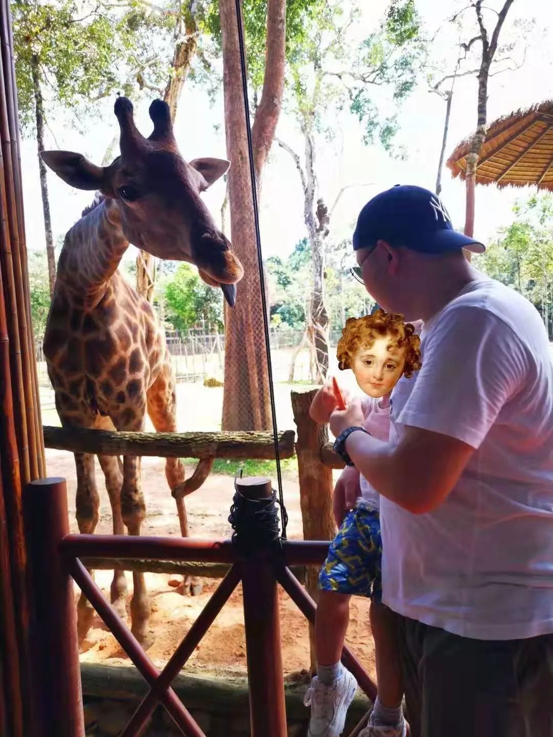 越南富国岛旅游推荐,富国岛越南旅游