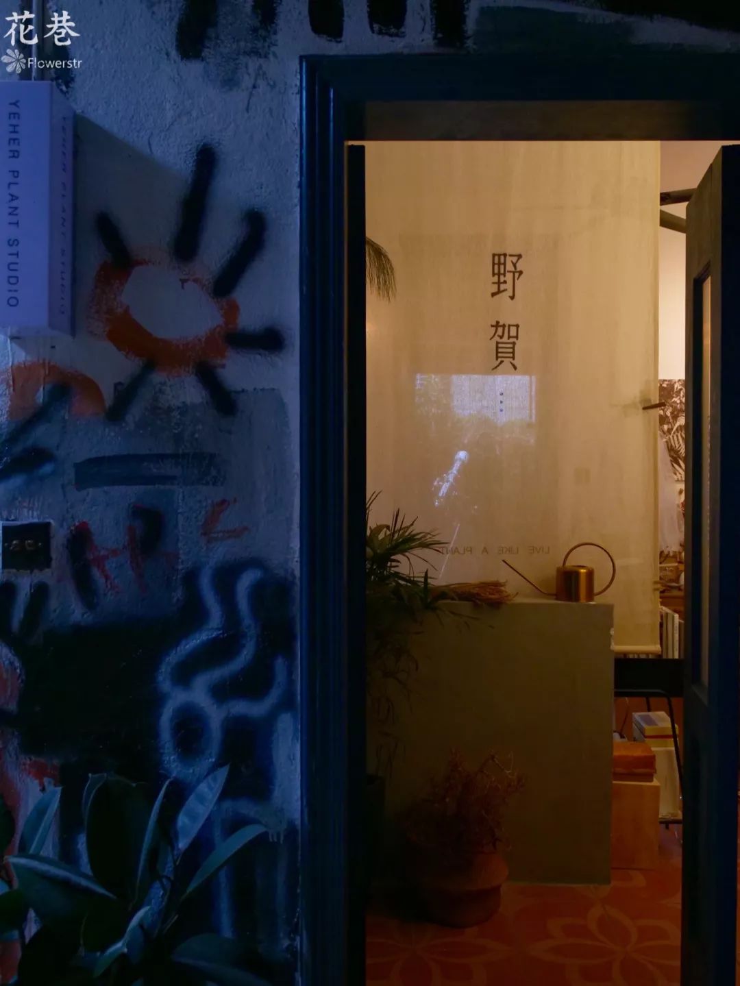 北漂七年,她回泉州开了一家能喝酒的花店