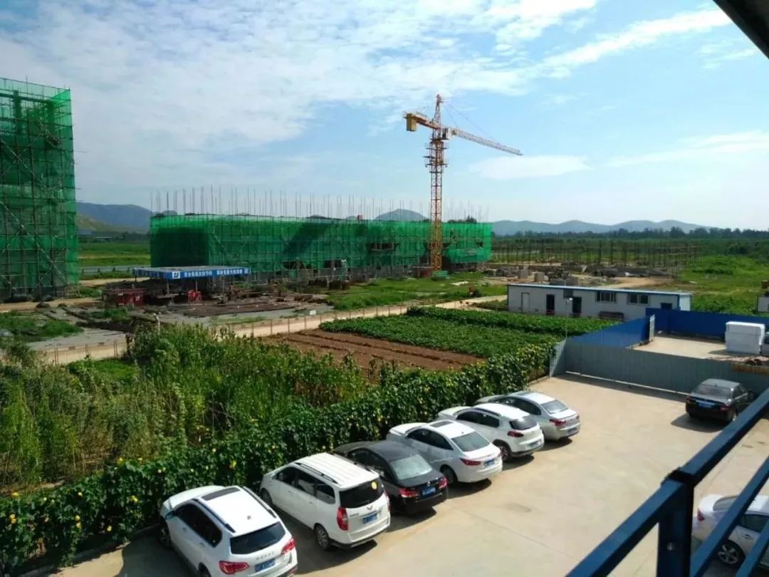 关注|面对困境保定天鹅何以能展翅高飞？转型升级给出答案