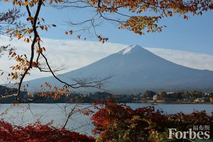 福布斯度假指南,福布斯打卡