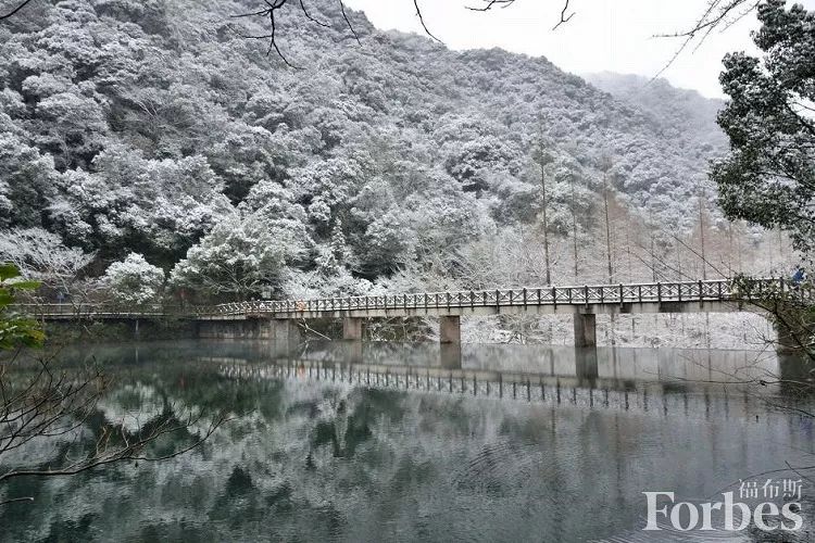 福布斯度假指南,福布斯打卡