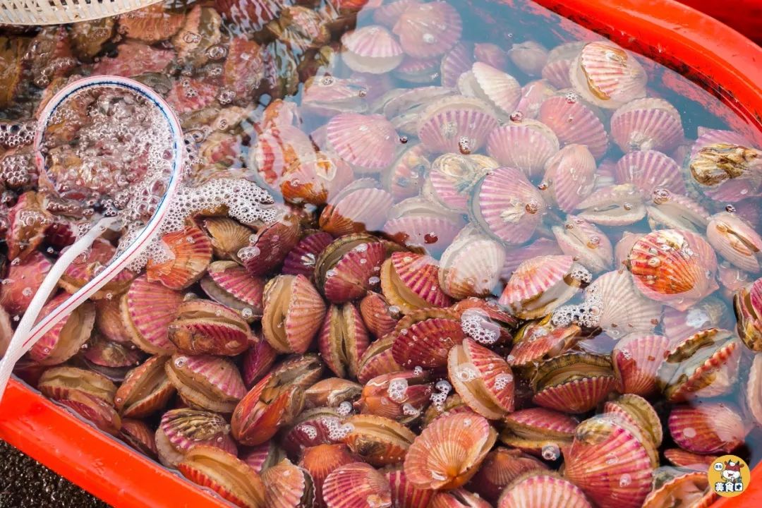 小港码头有蛏子吗,小港码头吃海鲜俱乐部电话