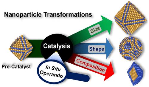 厦大NatureCat.，天大NatureCat.,催化前沿每周精选丨1014-1020