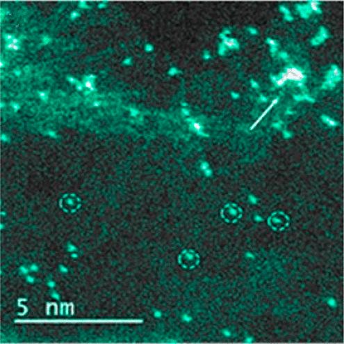 厦大NatureCat.，天大NatureCat.,催化前沿每周精选丨1014-1020
