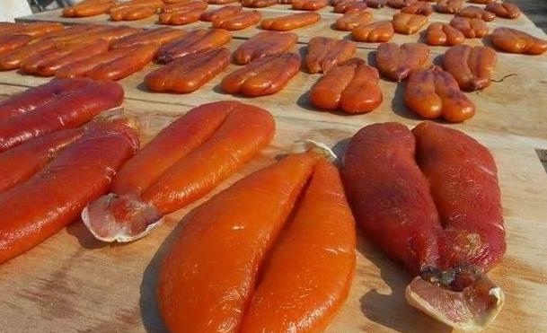 国内最贵的6种食材，家里有矿才吃过，网友：只能远观