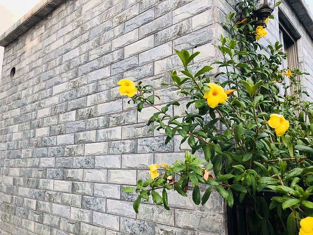 12月潮汕旅游攻略3天2夜,广东潮汕旅游12月份