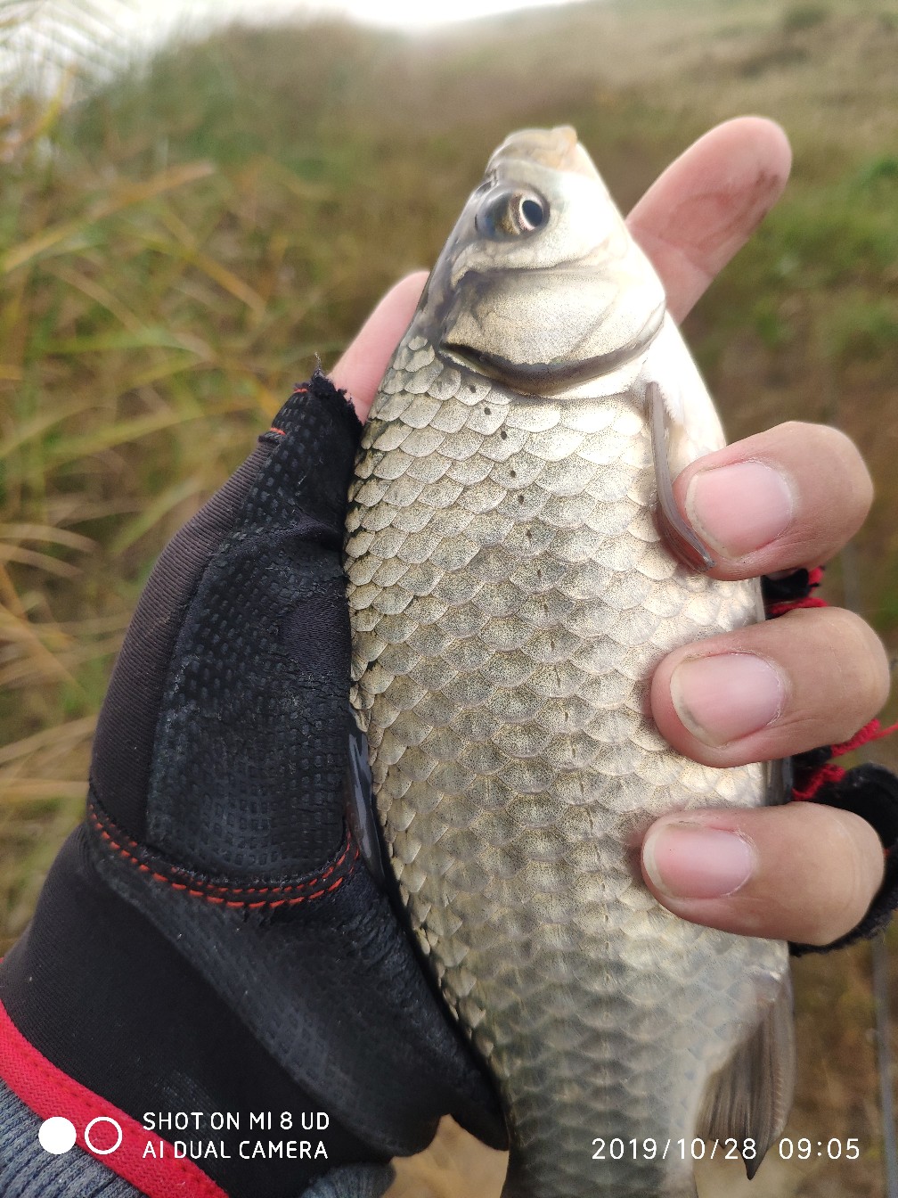和钓友吃吃喝喝好不好,野钓与钓友