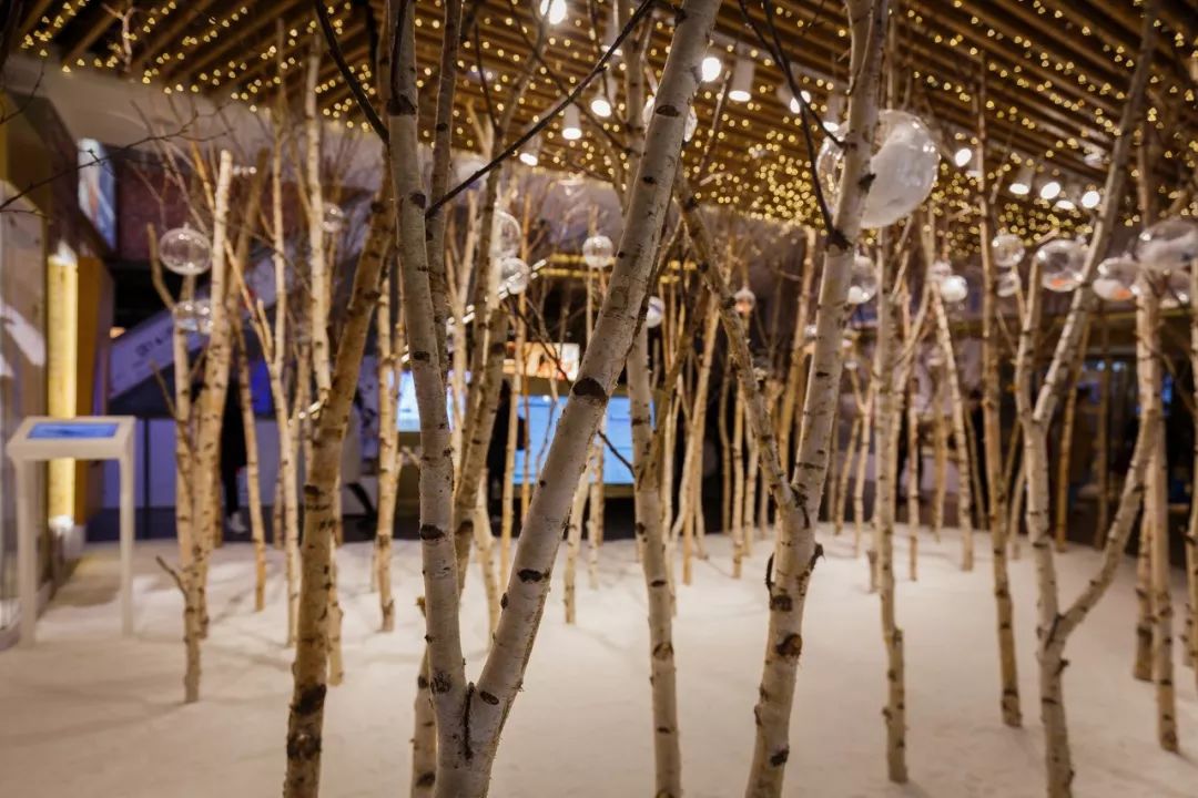 魔都值得一去的地方,感受一下魔都繁华的夜景点