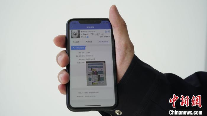 贵阳犬牌怎么扫二维码,贵阳网上怎么申请犬证