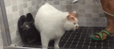 李佳琦居然也翻车了?!周震南也太蠢萌了吧