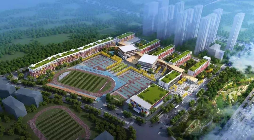 你好我叫长沙原版视频,你好我叫长沙县完整视频