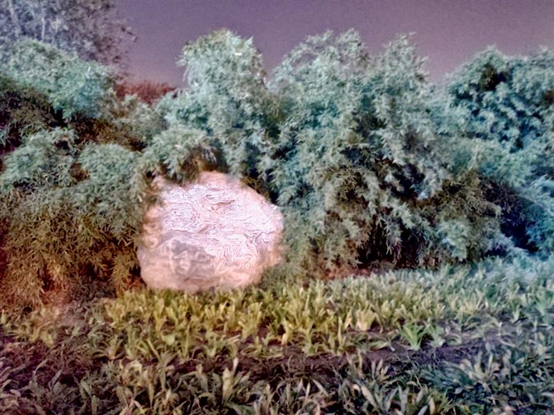 离开锤子老罗去哪里了,坚果pro3是罗永浩设计的吗