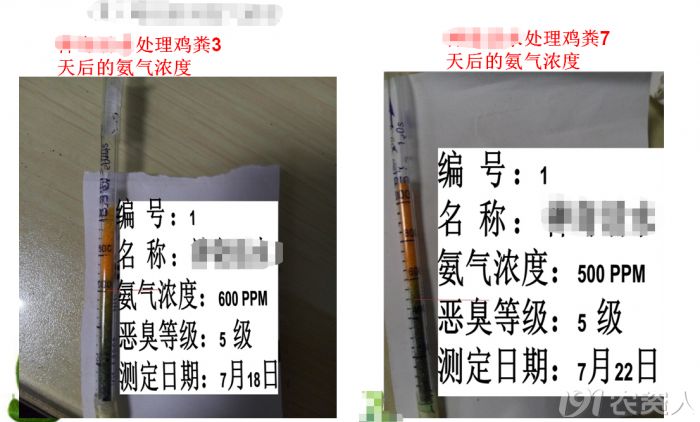 鸡粪真的能用吗,为什么鸡粪不建议用