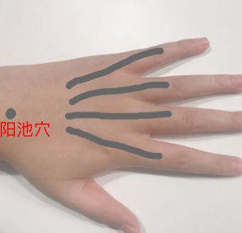 人间富贵花的颜值变化,被人夸人间富贵花回复什么更美