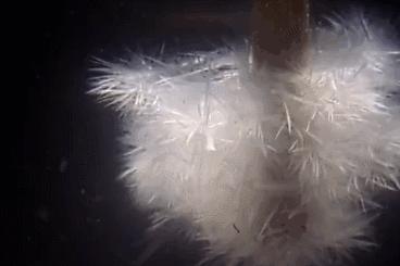 双11什么商品真正优惠,双11到底有哪些优惠