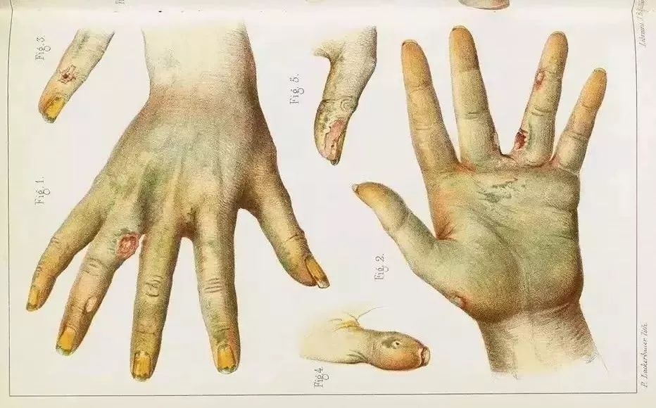 仿生人能梦到克莱因蓝吗,仿生人会梦见电子水母吗