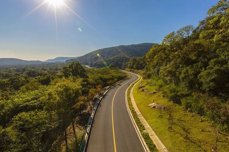 天呐！被南京这些路圈粉！