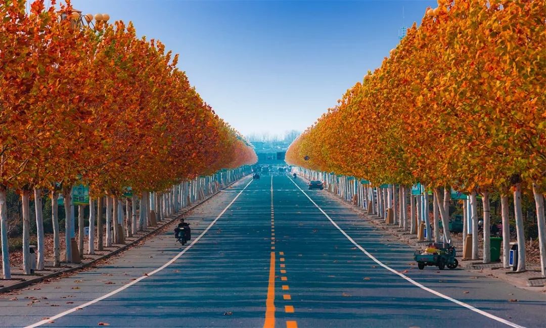 天呐！被南京这些路圈粉！