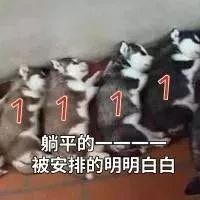 双十一别买买买视频,双十一别光顾着买骗局