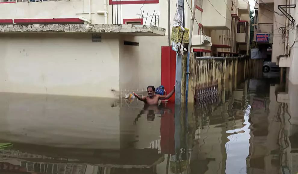 一颗洋葱让我泪流满面,一颗洋葱引发的危机