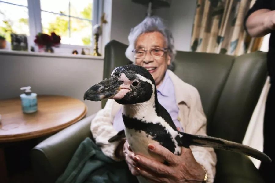 我们该怎么对待亲人的离别和病痛,如何看待疾病和死亡