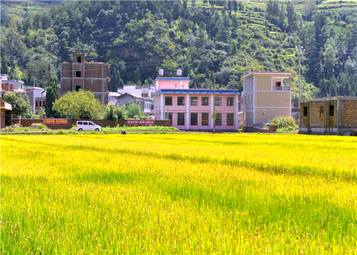 曹振华富源,富源金城路曹振华