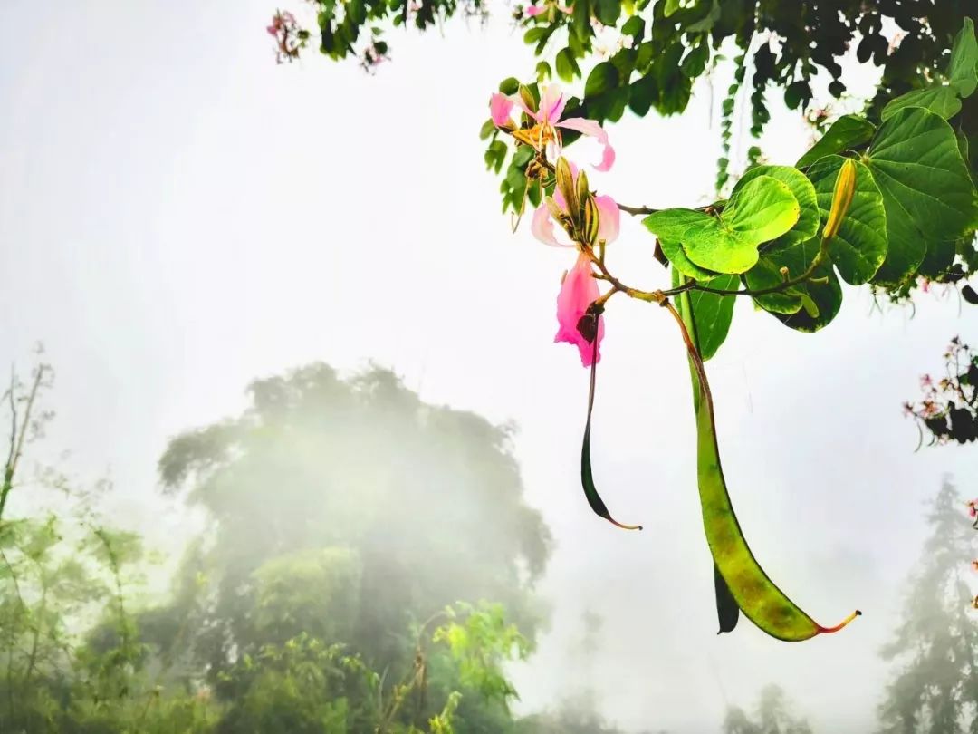 电网男女送礼都有啥？网友：送个锤子