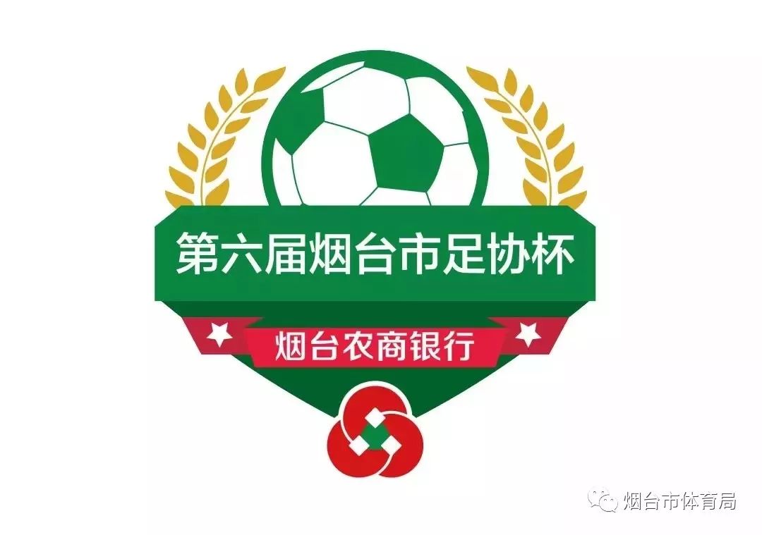 足协杯中金体育夺冠,史诗对决总决赛