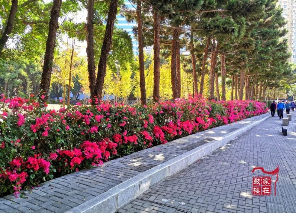 福州高新区最美公园,福州最有韵味的公园