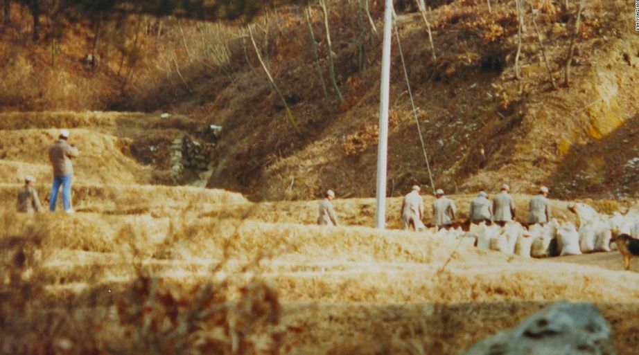 请回答1988在韩国影响大吗,韩国人如何看待请回答1988