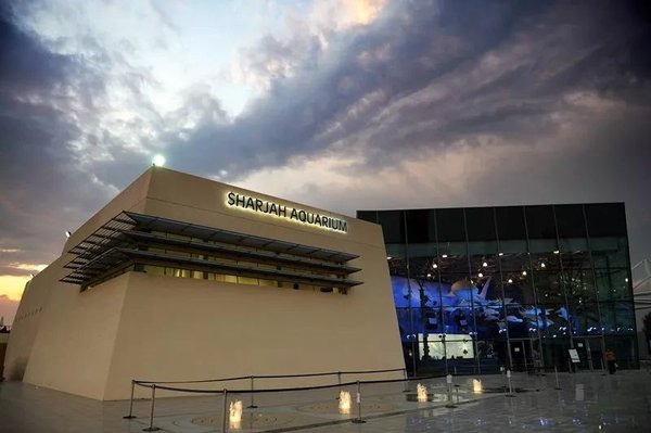 沙迦迪拜每日游轮,迪拜沙迦渡轮