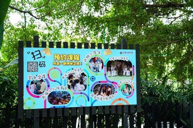 亲子游广州长隆动物园,广州长隆野生动物世界亲子游路线