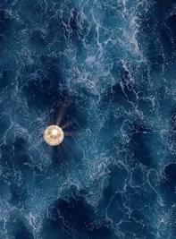 真正让你变美的护肤品高口碑,堪比大牌的护肤品