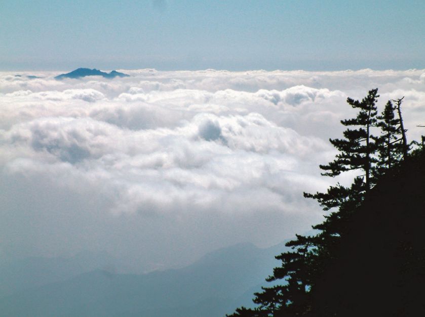 嵩县的这些“非卖品”，你都知道吗？