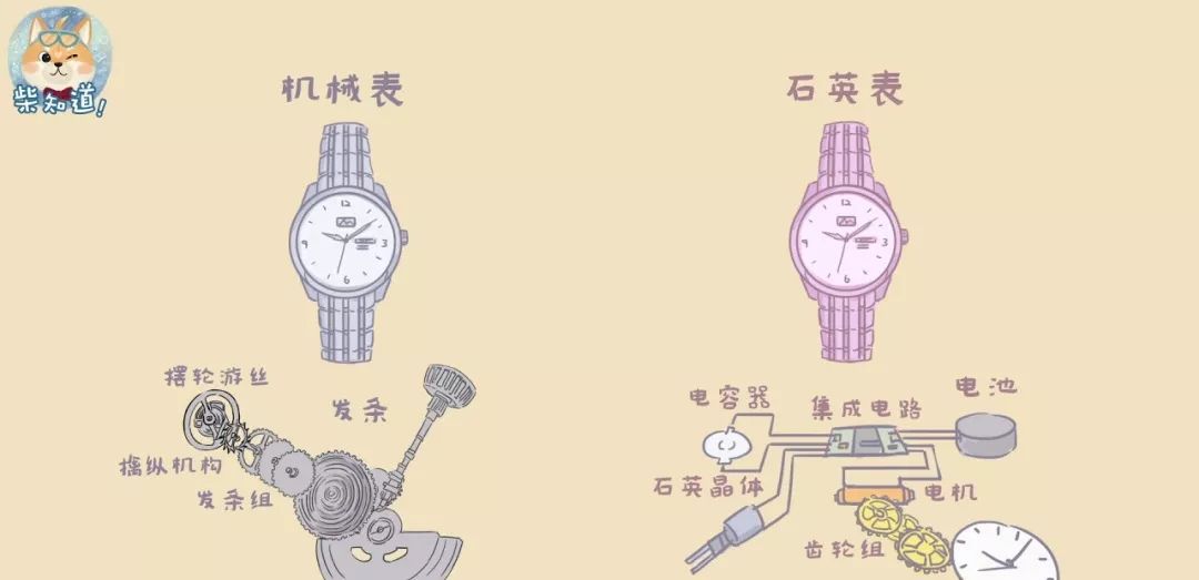 什么是硅藻泥,什么是硅石